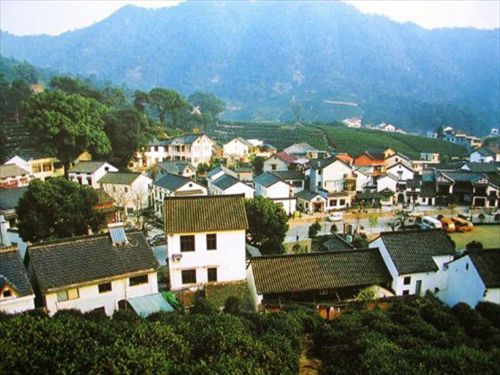 杭州梅家坞茶文化村